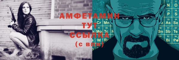 spice Дмитриев