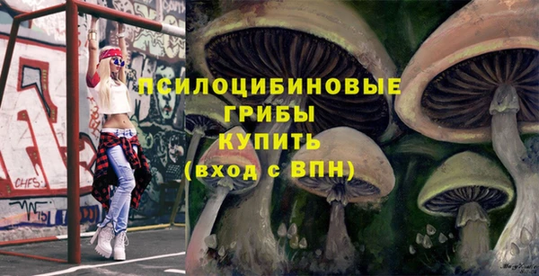 ПСИЛОЦИБИНОВЫЕ ГРИБЫ Ельня