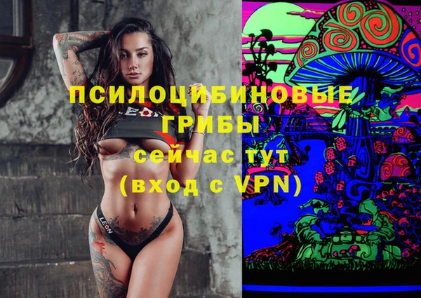 скорость Елизово