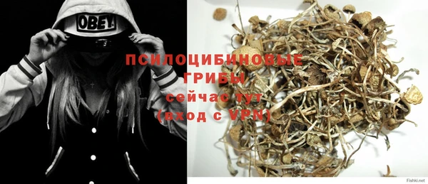скорость Елизово