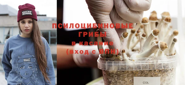 шишки Елабуга