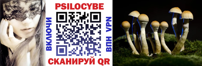 Купить закладки  Катайск  Галлюциногенные грибы Cubensis 